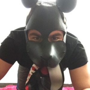 Profile photo of pupo